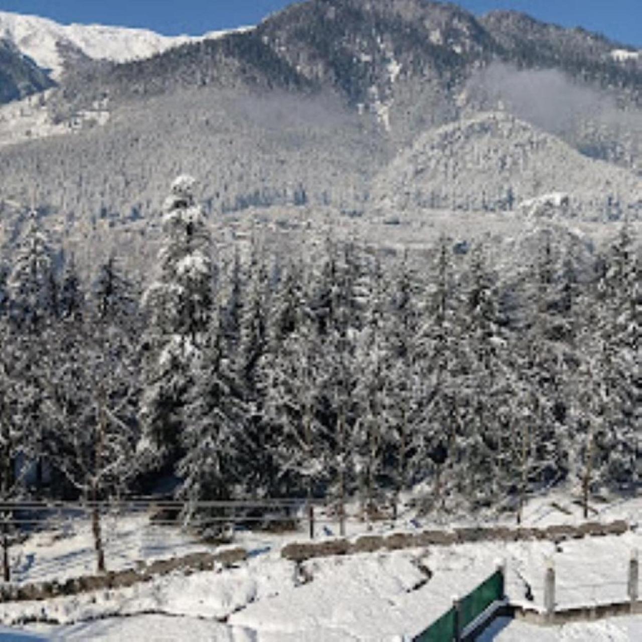 Hotel White Mountain à Manāli Extérieur photo